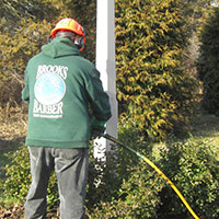 Tree Fertilization, Shrub Fertilization Bucks Couty Montgomery County PA