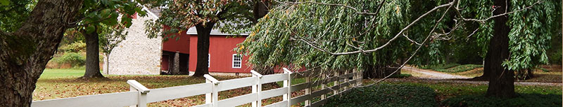 Tree Services Bucks County Montgomery County