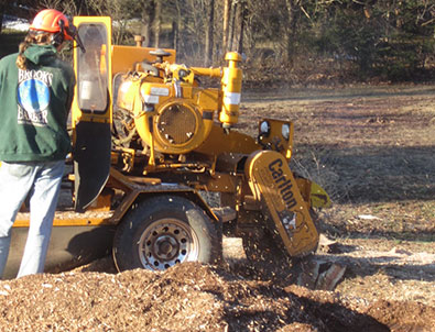 Stump Grinding Bucks Montgomery County